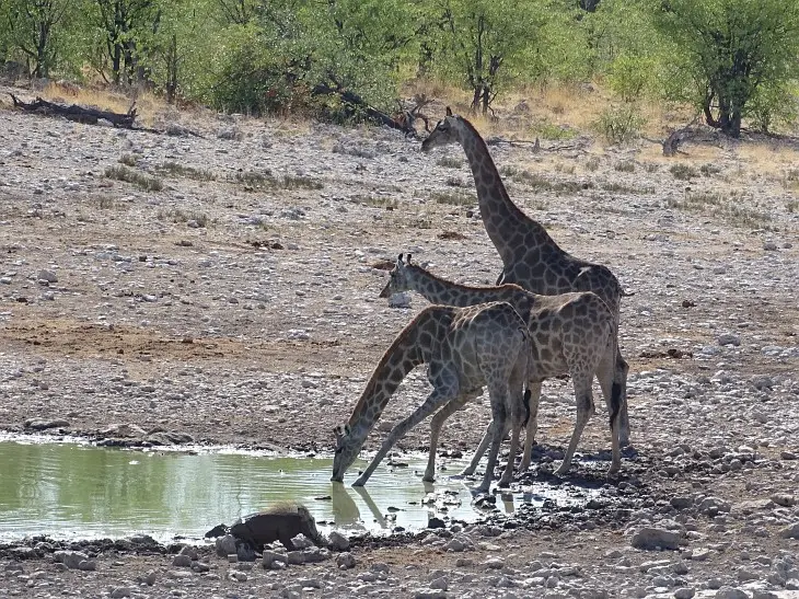 NamibiaNeu_1.jpg