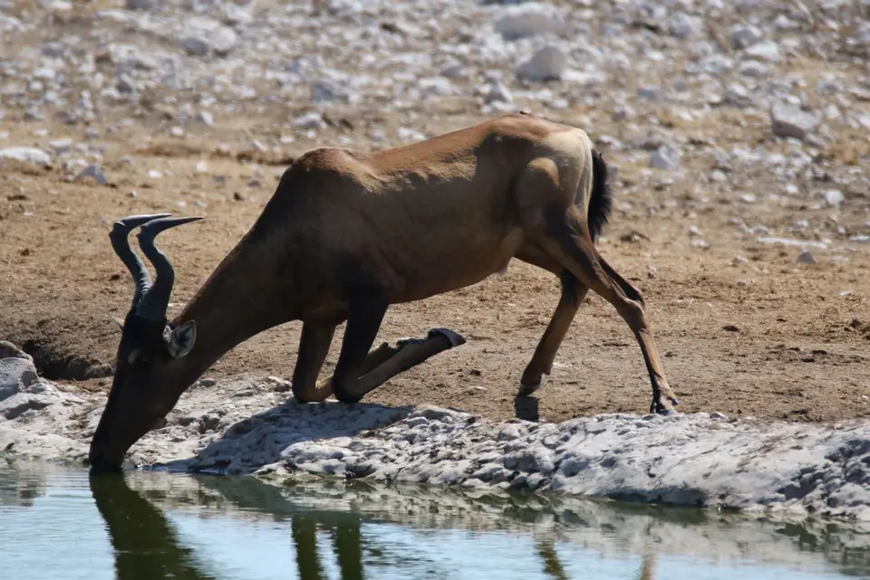 NamibiaNeu_11.jpg