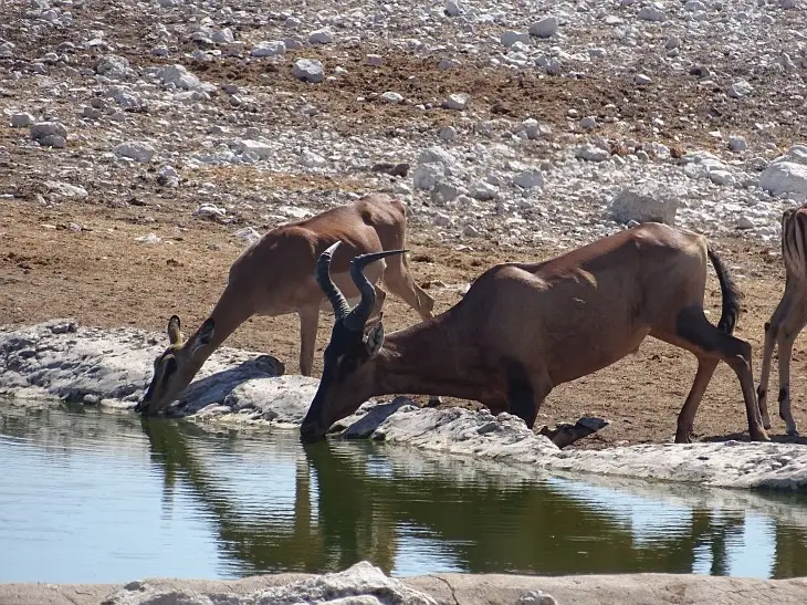 NamibiaNeu_14.jpg