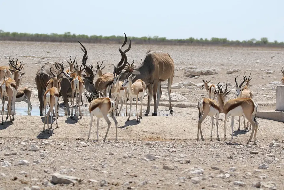 NamibiaNeu_15.jpg