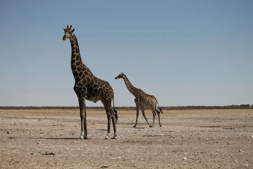 NamibiaNeu_18.jpg