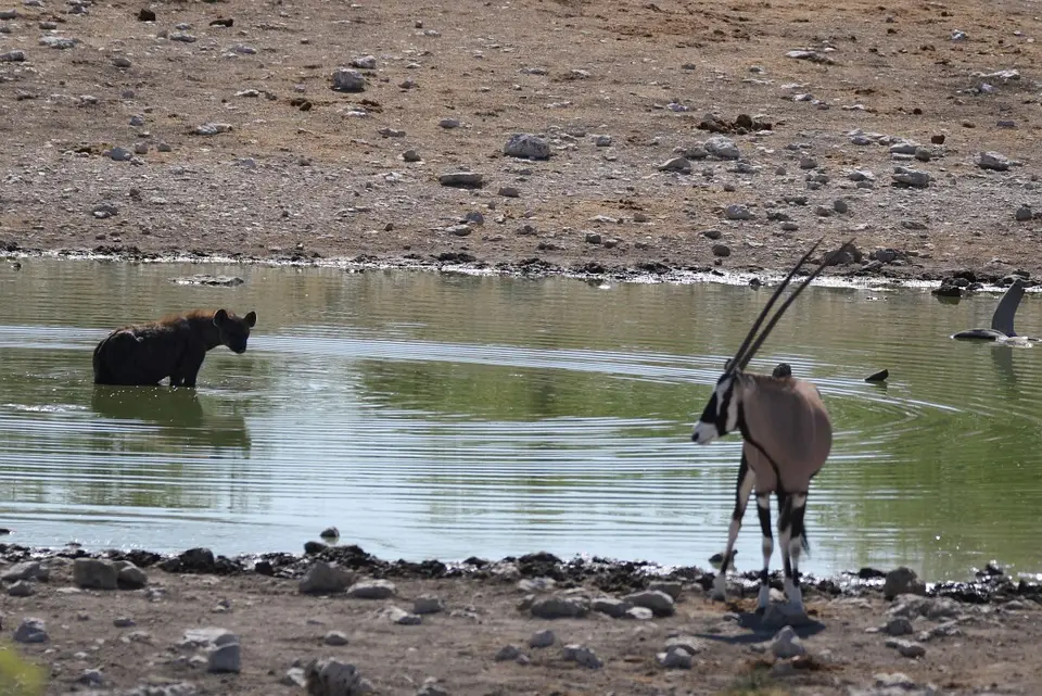 NamibiaNeu_2.jpg