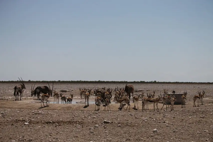 NamibiaNeu_20.jpg