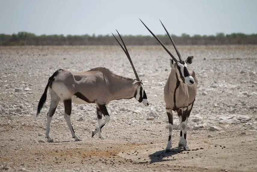 NamibiaNeu_22.jpg