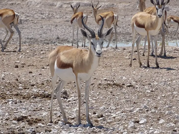 NamibiaNeu_26.jpg