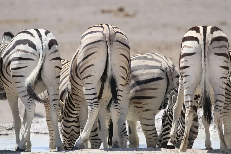 NamibiaNeu_27.jpg