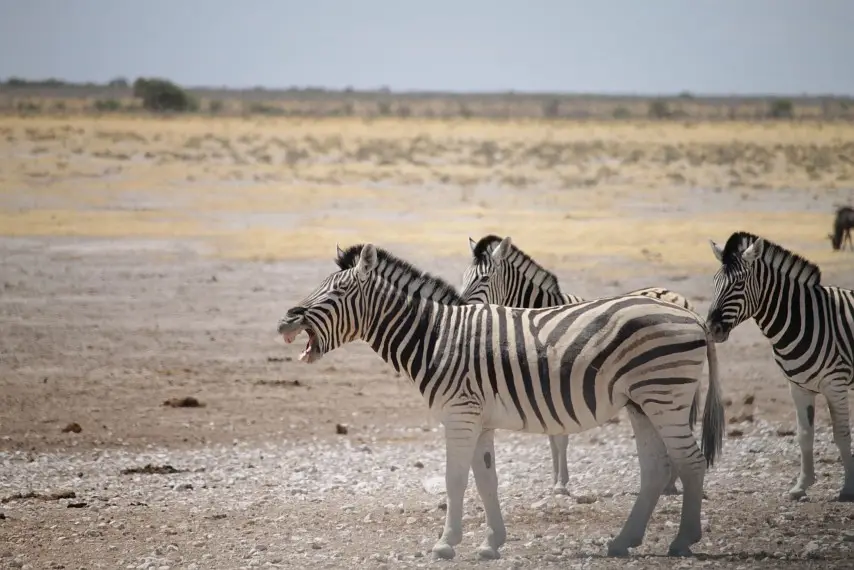 NamibiaNeu_28.jpg