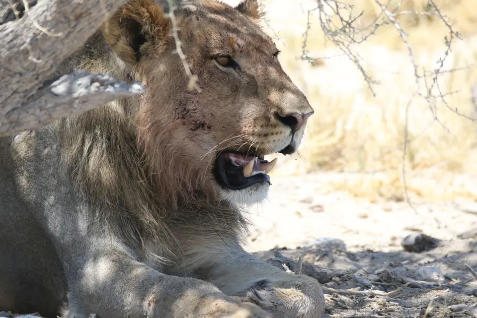 NamibiaNeu_29.jpg