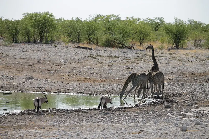 NamibiaNeu_3.jpg