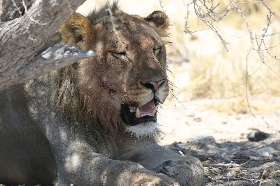NamibiaNeu_30.jpg