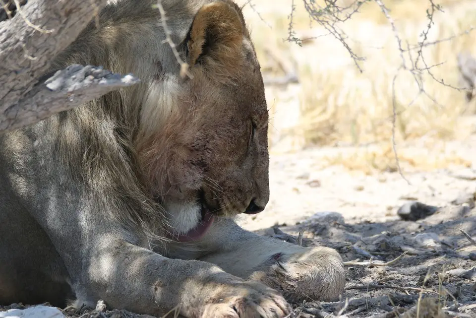 NamibiaNeu_31.jpg