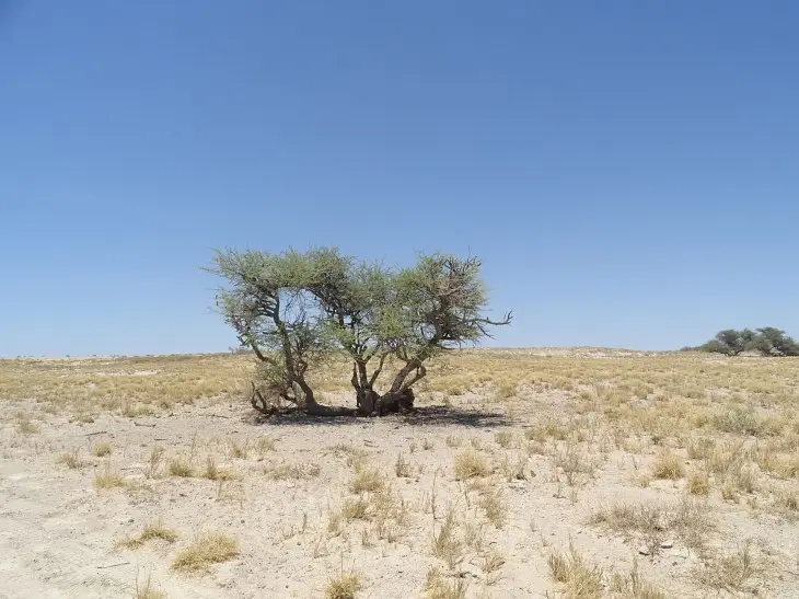 NamibiaNeu_32.jpg