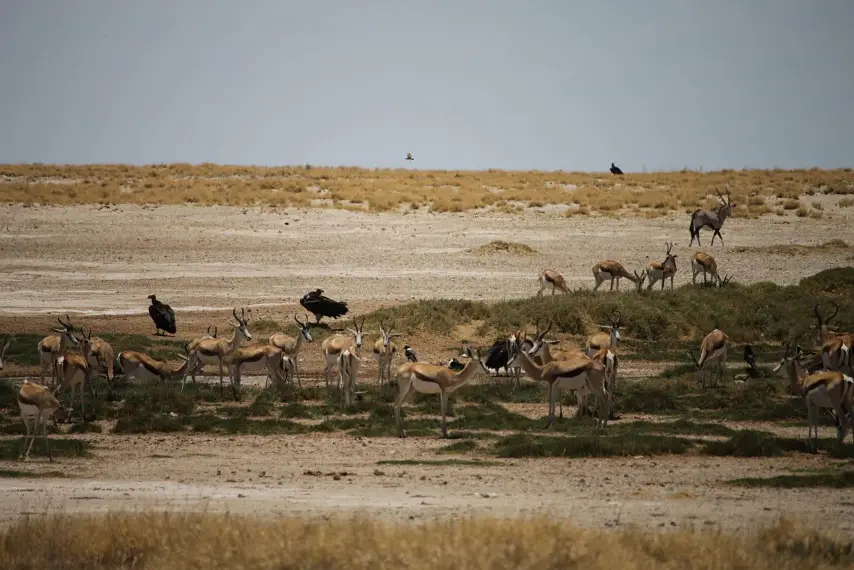 NamibiaNeu_36.jpg