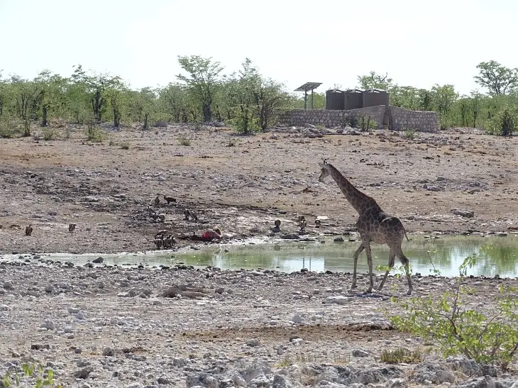 NamibiaNeu_4.jpg