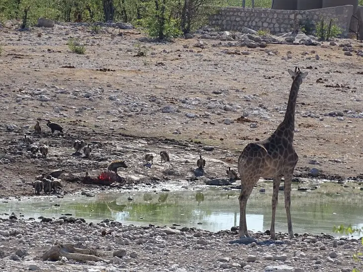 NamibiaNeu_6.jpg