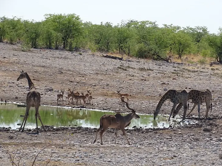 NamibiaNeu_8.jpg
