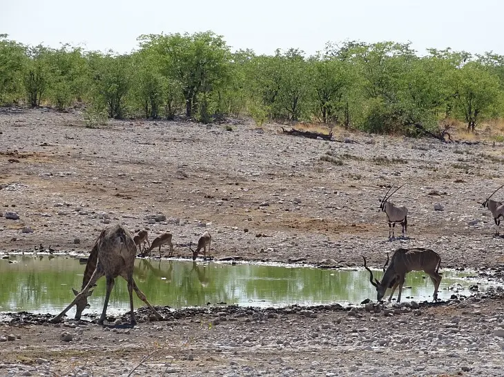 NamibiaNeu_9.jpg