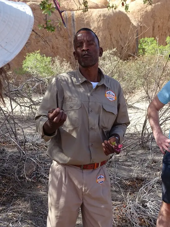 Namibia_(32)-2-3.jpg