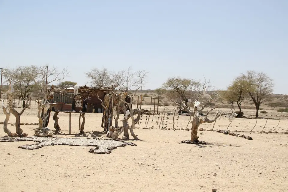 Namibia_(97)-2-3.jpg