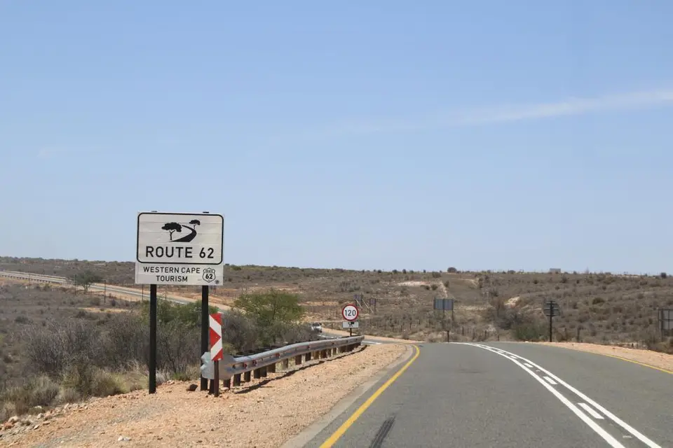 S.A(40)-2.jpg