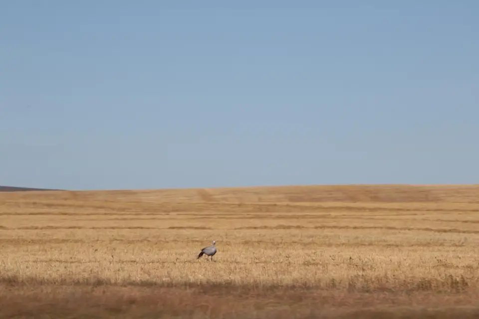S.A.2017_009-2-3.jpg