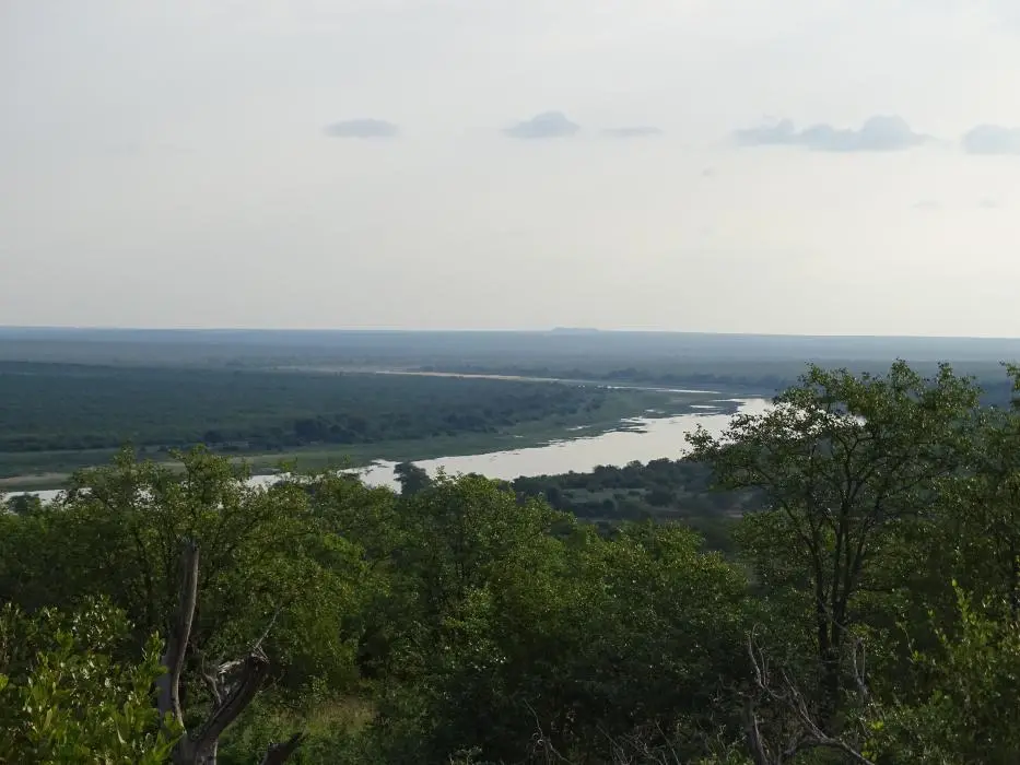 S.A.2018_006-2.jpg