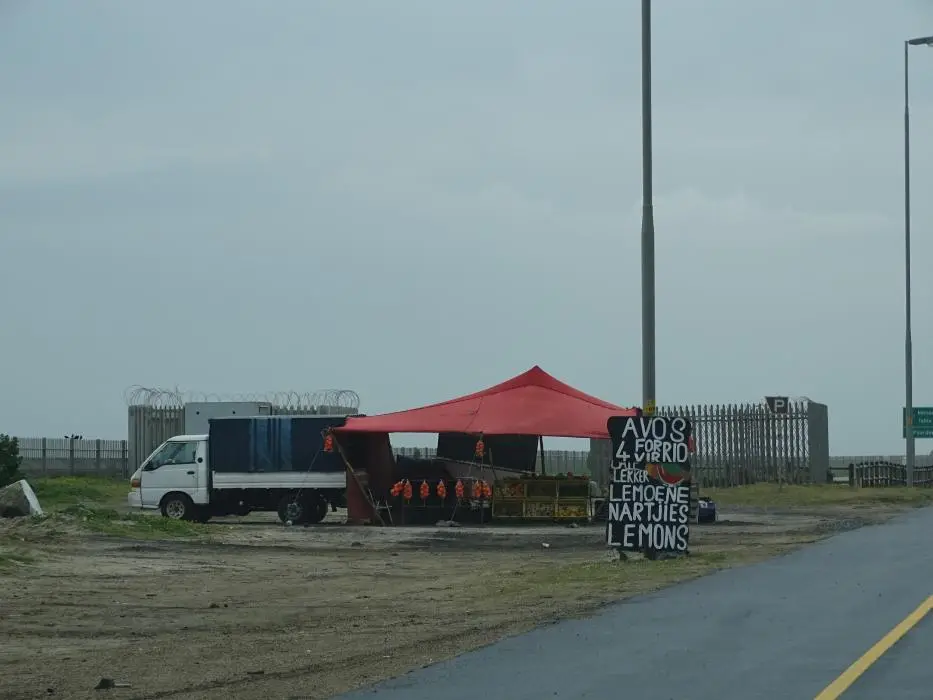 S.A.2018_009.jpg