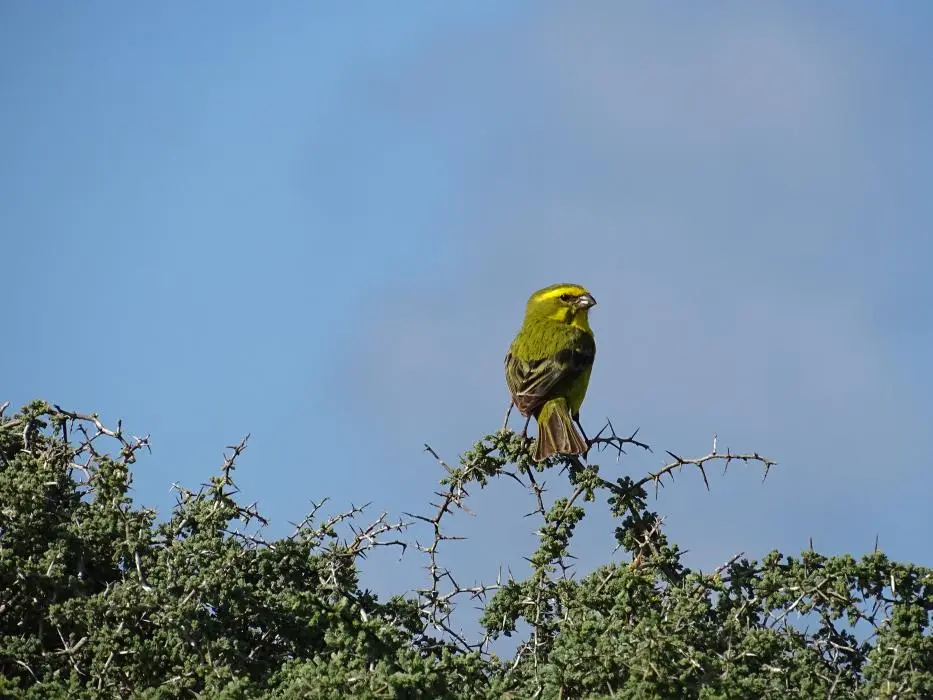 S.A.2018_024.jpg