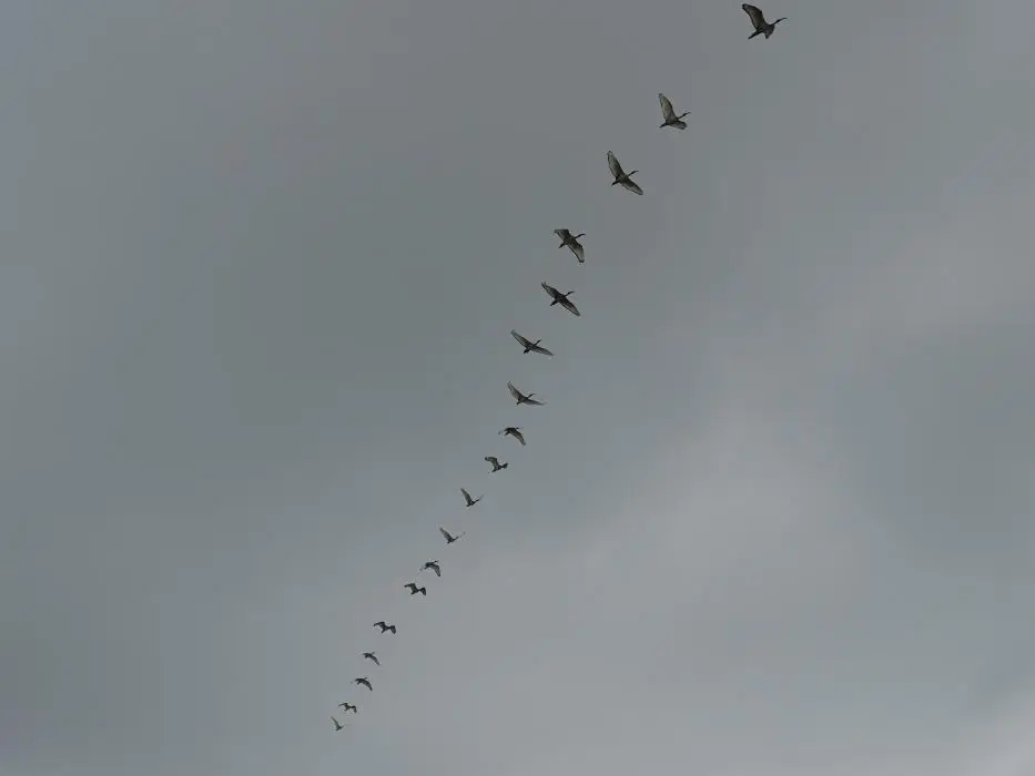 S.A.2018_061.jpg
