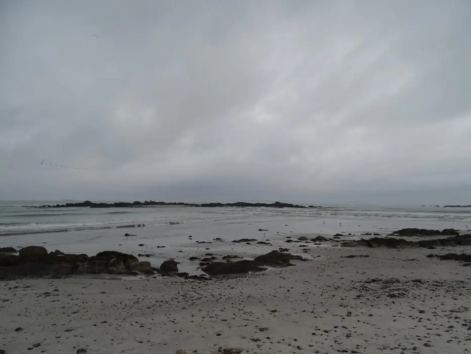 S.A.2018_067.jpg