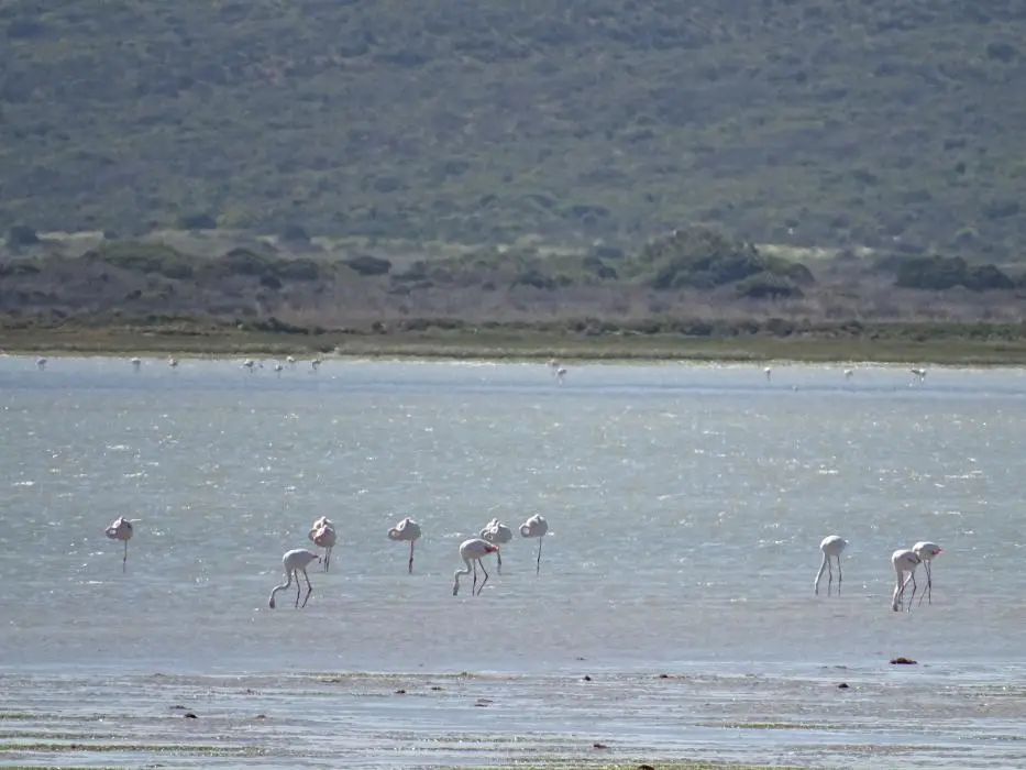 S.A.2018_071.jpg