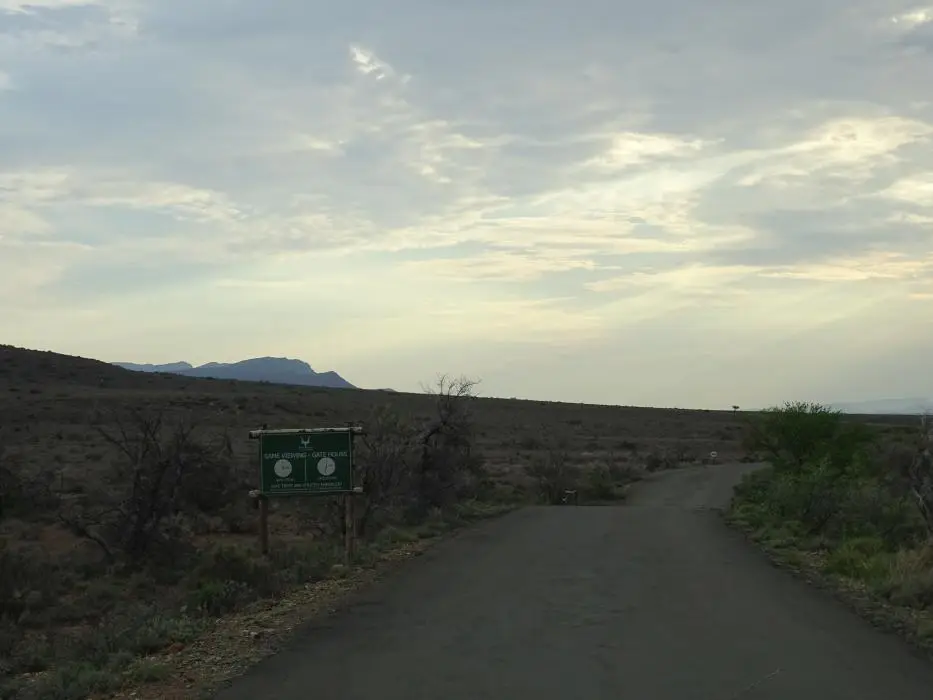 S.A01(1).jpg
