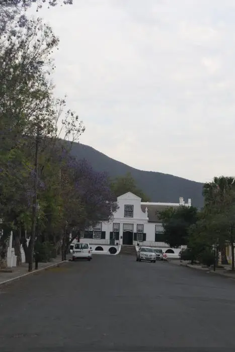 S.A01(19).jpg