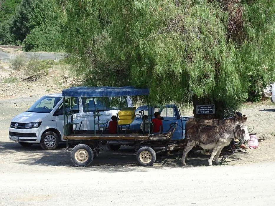 S.A01(40)-2.jpg