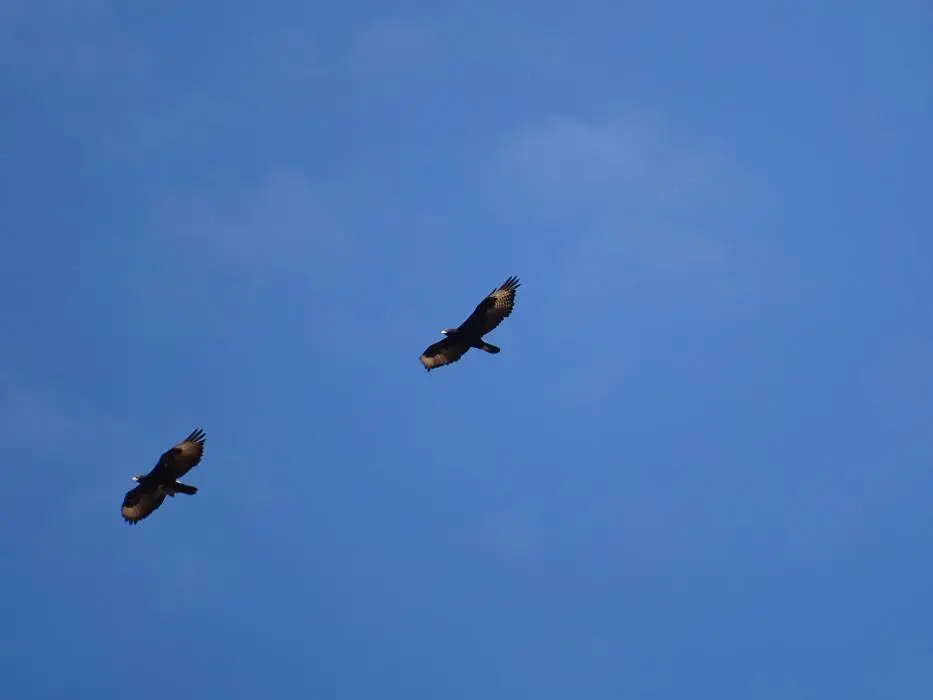 S.A01(49)-2.jpg