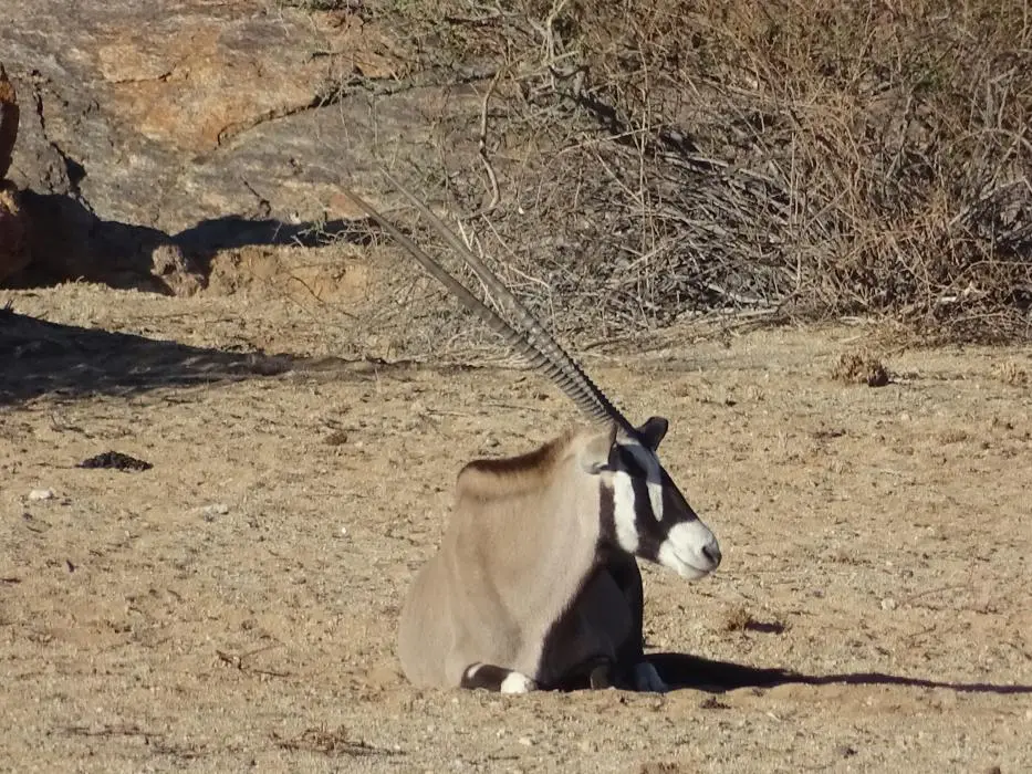 h0bb3f8c.jpg