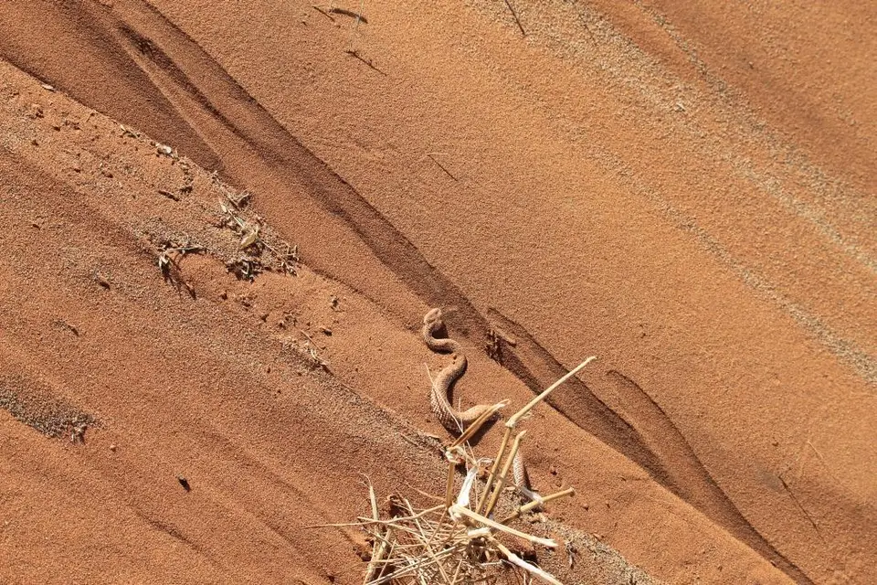 h4520652.jpg