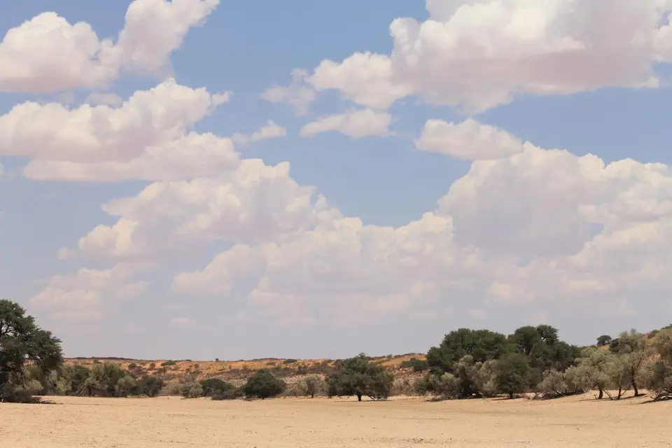 h6816009.jpg