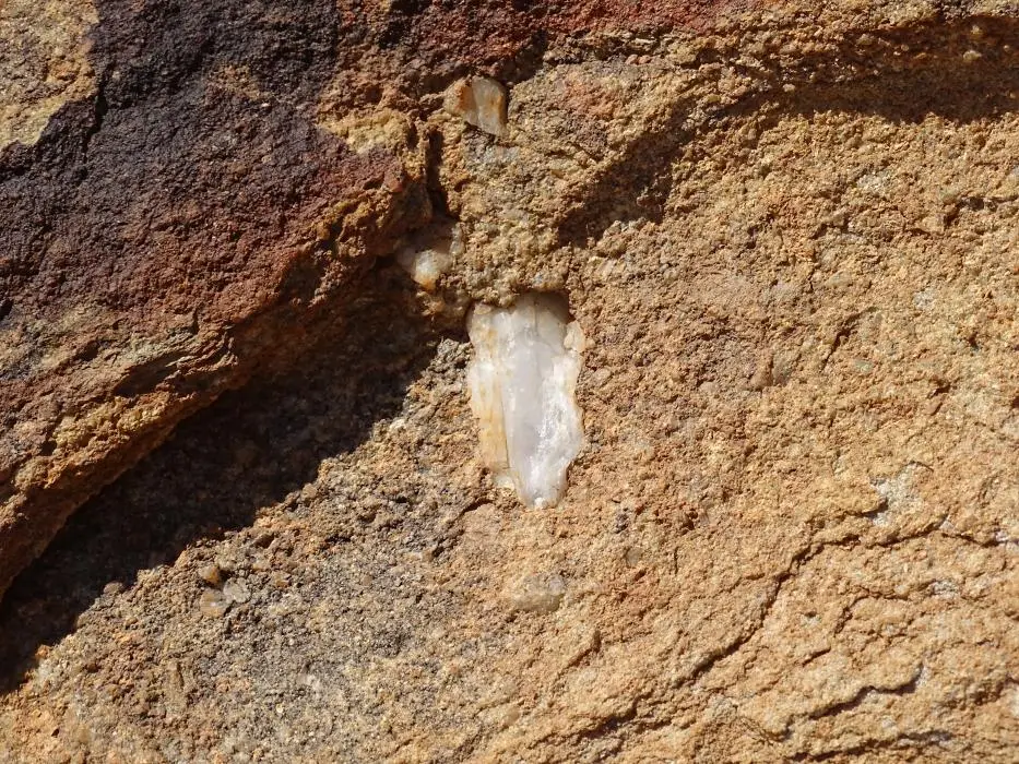 h7849570.jpg