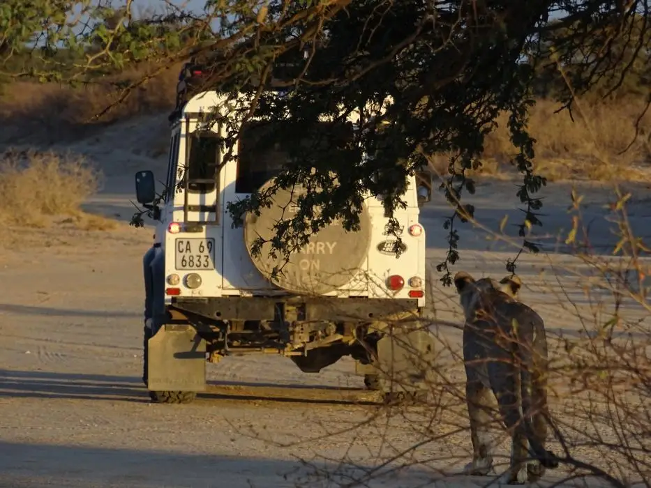 h9498ae9.jpg