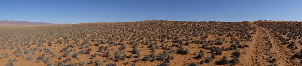 hb36ca72.jpg