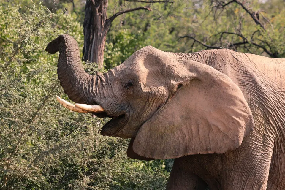 Namibia_2015-2447.jpeg