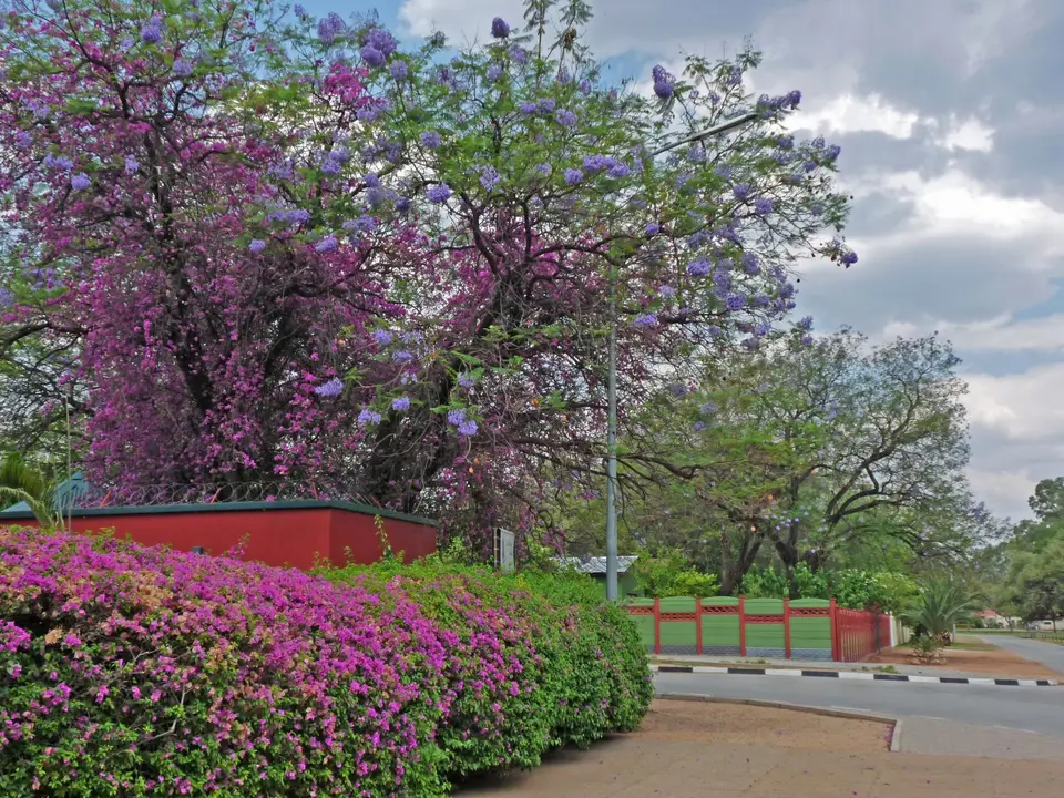 001Tsumeb.jpg