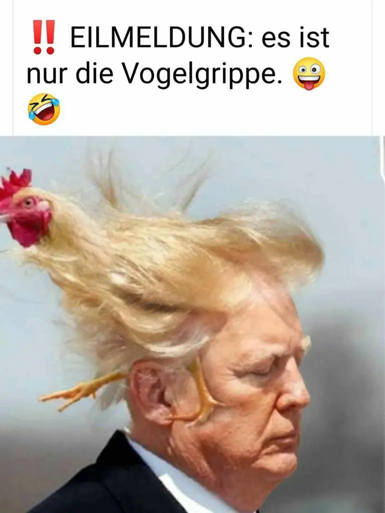 2B6F7648-7308-4FA8-BC50-C27B50038416.jpeg