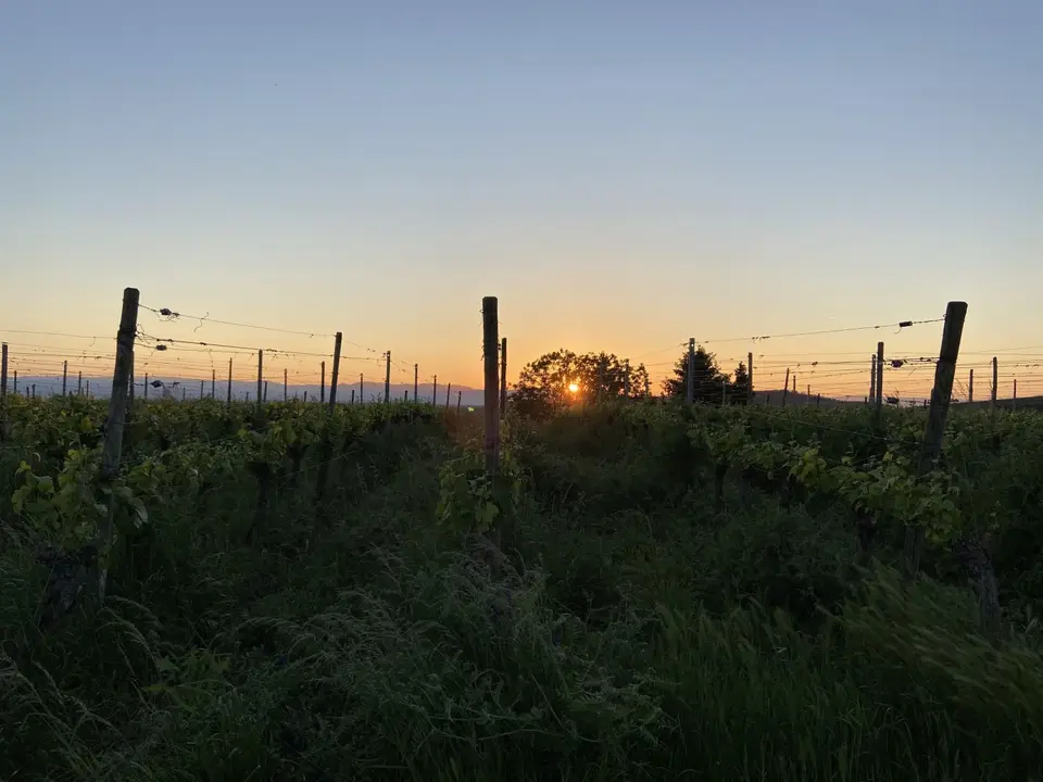41C6F1D0-8CCA-4861-8610-809EAC1B4620.jpeg