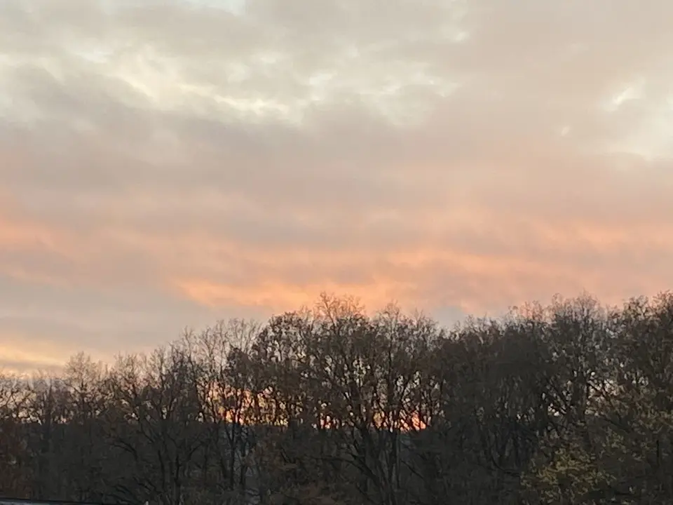41D064AD-2F4A-4DBE-B1A9-E94AD22ACF56.jpeg