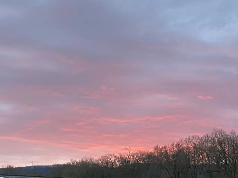 71BBF097-CB36-4FBF-B52C-851878055FB9.jpeg