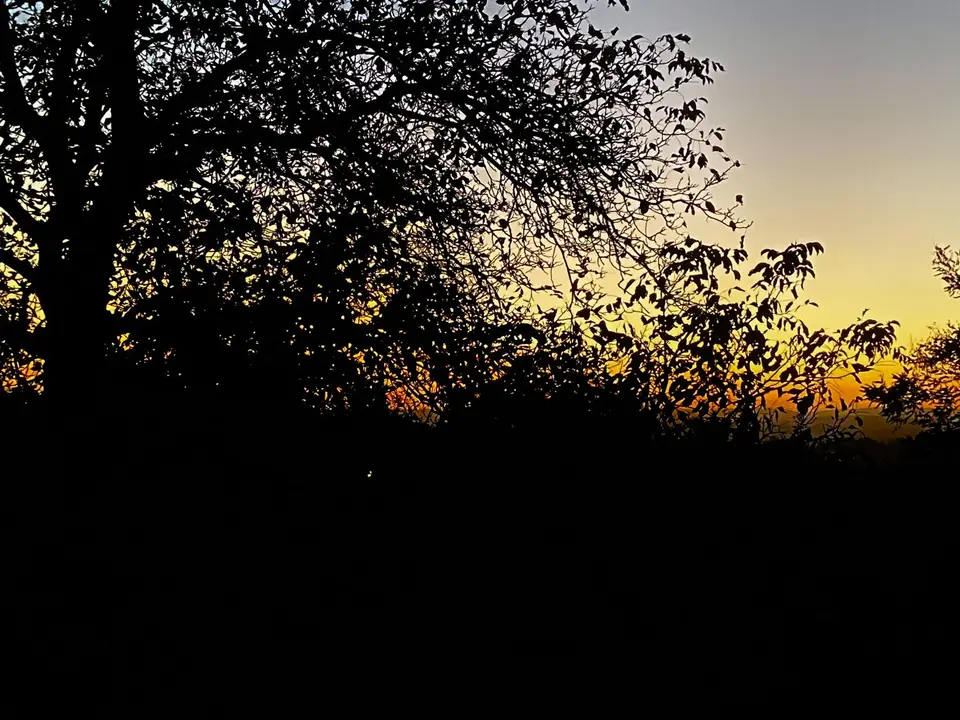 A6D3417B-4DE2-428B-8A5D-682DB4A8D5B2.jpeg