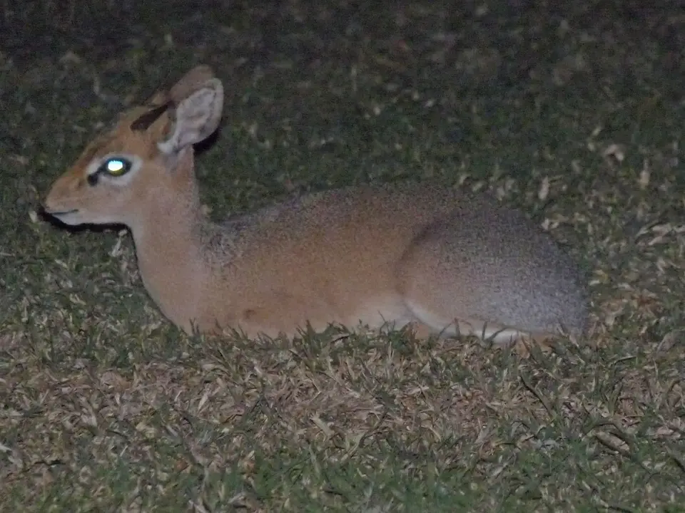 B0000057.jpg