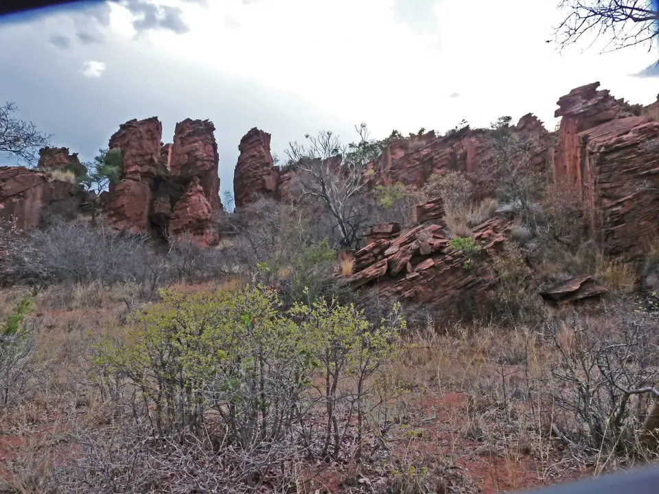 B0000103.jpg